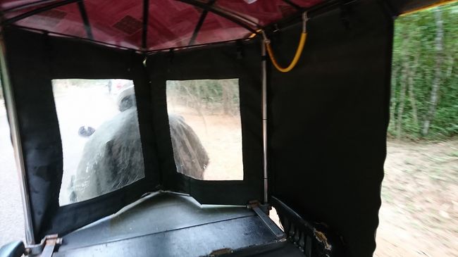 40分程度の見学を終わり、トゥクトゥクに向かっていると雨が降り出し、走り出したはいいけど、かなりの大雨となり、ついには雨除けまでしてもらいました。