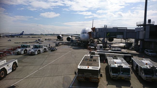 成田到着。いい角度て撮る事ができませんでした。今回の飛行機ではシェムリアップ→シンガポールのSQ5025以外は隣が空席と言うとてもラッキーな旅行でした。A380の2階窓側席は非常に快適なので、指定できる場合はぜひ指定してみてはいかがでしょうか。