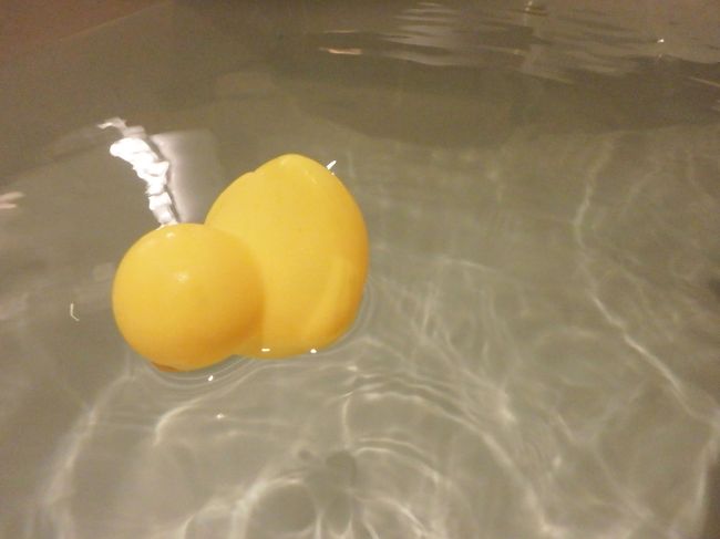 手を離したら見事に<br /><br />お尻を突き上げ、顔面からお湯の中にダイブしていきました。<br /><br />さすがにこれでは可哀相なので、