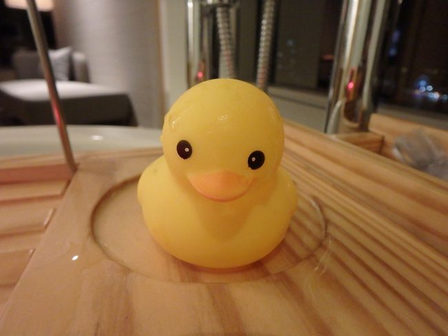 私と同じに、泳ぎはあまり得意でない子のようなので<br /><br />お湯の上ではなく、この木のトレイの上で<br /><br />向かい合って語り合うことにしました。