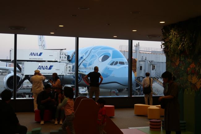 そして、ゲートの隣には搭乗機A380。<br />相性は「フライング・ホヌ」。<br />ホヌはハワイ語で亀のことね。<br />でっかい亀の顔はインパクト大。