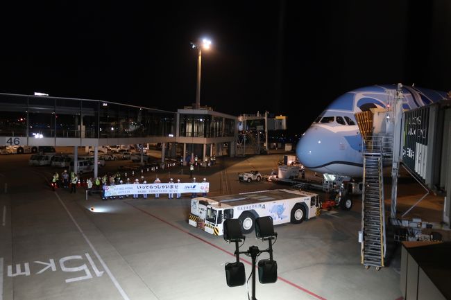 ボーディングブリッジまでわずかな距離から見えるホヌ機。<br />よく見るとトーイングカーもフライングホヌ仕様に。