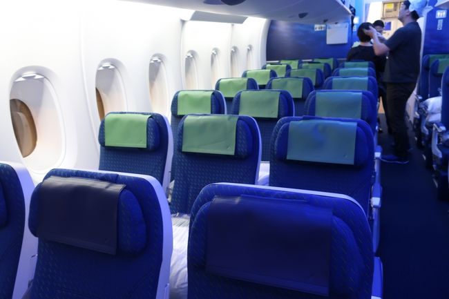 一番、最後方はカウチシート。<br />座面がフラットになるやつね。<br />緑のヘッドカバーが目印。<br />所々、大きめのブランケットが用意されていたので、3人がけを一人占めするという贅沢な乗客がいたのかも。