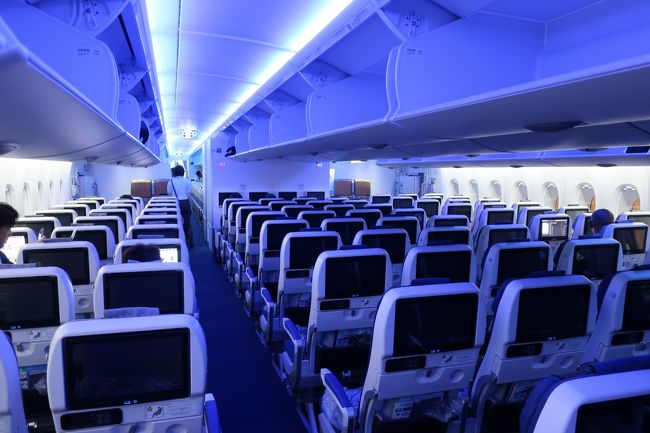 こんな感じで、広い機内を見渡せます。