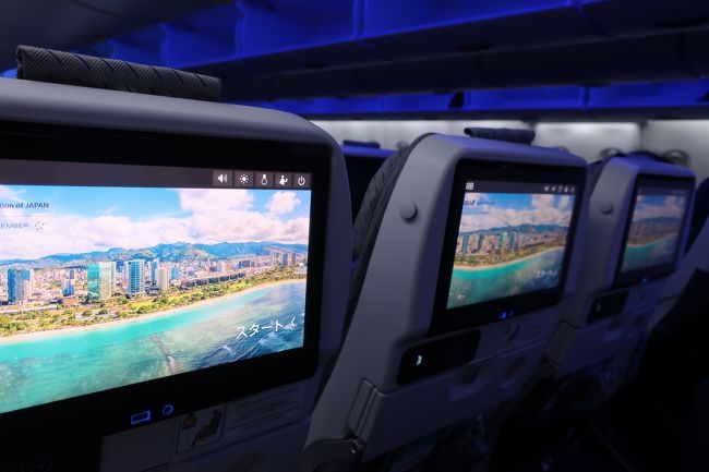 シートモニタ、デカっ！<br />色々興味そそられるけど、機内が混み合う前にちょっと機内探検へ。