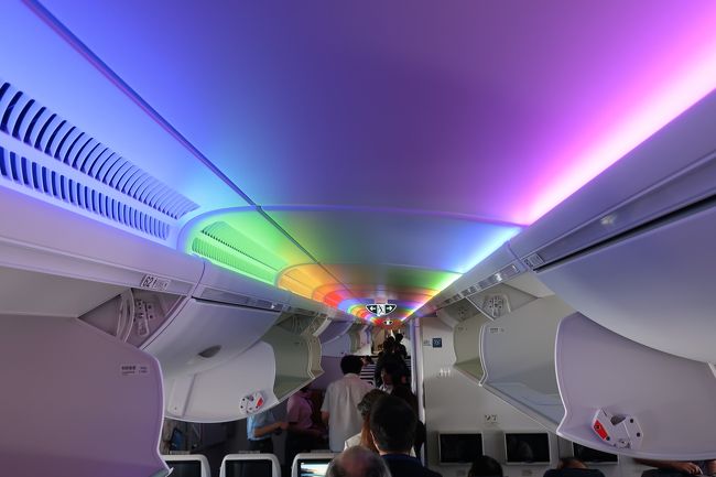 降りる際には機内がレインボーカラーに。<br />まぁ、これはB787でもあるね。