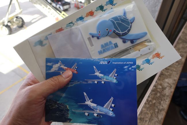 機材の外へ出る際に、記念品が手渡されました。<br />亀さんのバゲージタグ。