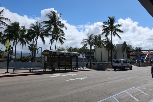 ともかく、無事ホノルル到着。<br />2泊したのち、再びホヌ機で帰国します。<br />そして帰りはビジネスクラスにて。<br />何気に帰りの便が今回の旅では一番楽しみなんだけど、ひとまずホノルル観光へ行ってきます～