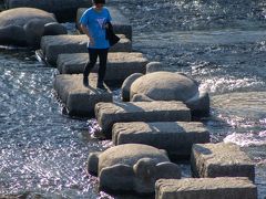 通勤に飛び石を使う方もいるのですね～
