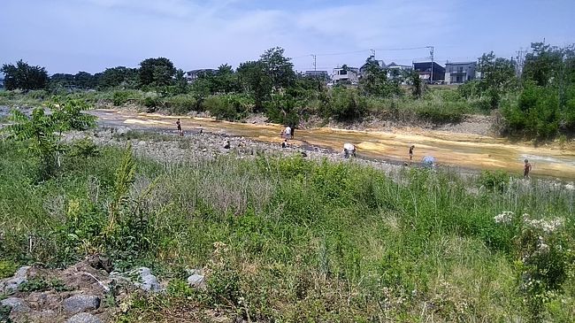 川はこんな感じ<br />このあたりから　メタセコイヤの化石が出てる筈