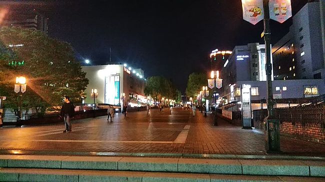 真っすぐが　パルテノン多摩<br />右　京王プラザホテル多摩<br />サンリオは　この先中ほど左入ったとこ