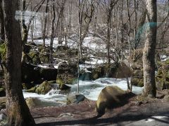 　コケや草木が生えた大小の岩が流れの中に小島のように点在する「九十九島」。急流と穏やかな流れが同居する風情ある光景