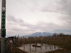 7:10　林崎駅に着きました。（弘前駅から24分）

りんご畑の中にある駅です。遠くには岩木山が見えます。
りんごと岩木山はベストカップルですね。