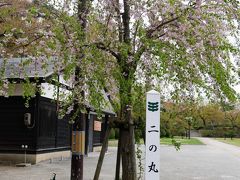 ここに広場があるんですが、お花見の時期は出店も出て、朝早くからブルーシートが敷かれています。