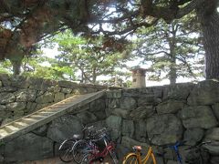 陸橋を超えるとすぐに徳島中央公園です。