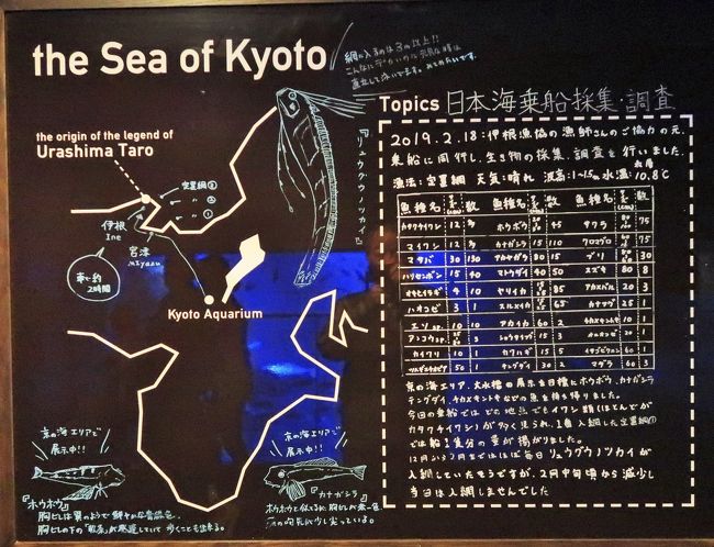 梅小路公園 9 京都水族館a 京の川 京の海 海獣 ペンギンも 水と共につながる いのち 京都駅周辺 京都 の旅行記 ブログ By マキタン２さん フォートラベル