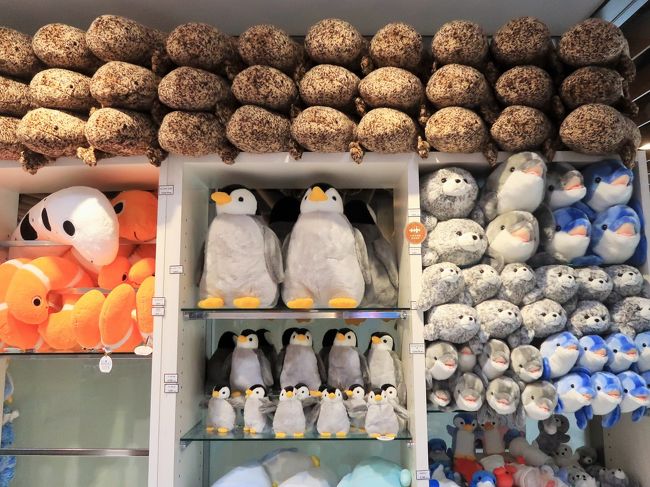 梅小路公園10 京都水族館b 京の里山 興味深い生態も イルカスタジアムは終演し 京都駅周辺 京都 の旅行記 ブログ By マキタン2さん フォートラベル 梅小路公園10 京都水族館b 京の里山 興味深い生態も イルカスタジアムは終演し 京都駅周辺 京都 の旅行記 ブログ By マキタン2さん フォートラベル