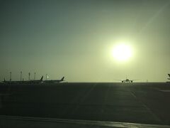 朝日を浴びるのは全てカタール航空の期待。