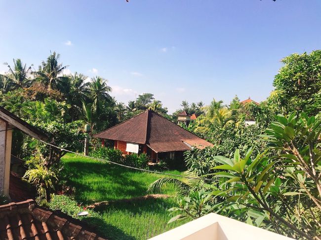 (*Ü*)ﾉ"ᵍᵒᵒᵈ ᵐᵒʳᐢⁱᐢᵍ✲<br /><br />ウブド入りして初の朝でございます🐦<br /><br />10数年前初めてのバリ旅行に来たのは乾季でした。<br /><br />それから1人旅では雨季ばっかり。<br /><br />そして今回は久々の乾季のウブドステイ🌴<br /><br />やっぱり乾季は湿度が違うよね~!!!<br /><br />清々しいウブドの朝を迎えました(•ᵕᴗᵕ•)<br /><br />娘ちゃんも起きてきてお宿の初めての朝食タイムψ(๑'ڡ'๑)ψ<br /><br />こちらの朝食メニューは前日に3種類から選ぶシステム。<br /><br />パンケーキ、ホットサンド、トースト＆オムレツ<br /><br />カットフルーツかフルーツジュース<br /><br />コーヒーか紅茶