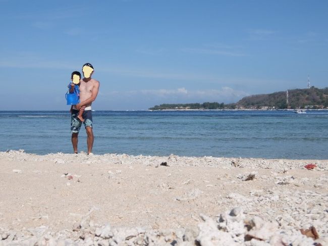 今日も魚を見に行きます。