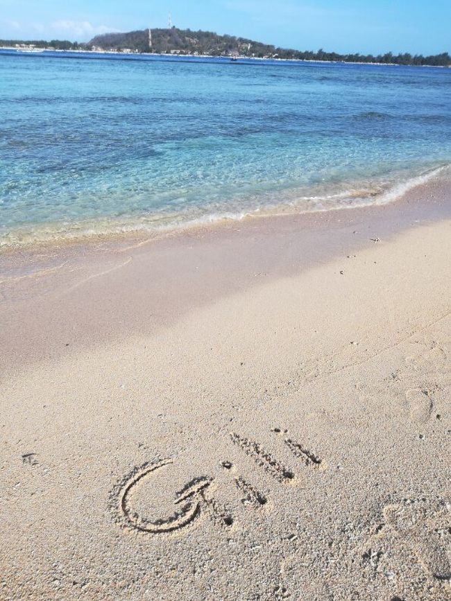 この日は海の透明度が滞在中一番でした。加工しなくてこれです！綺麗すぎる・・・