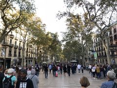 カタルーニャ広場を背にしてランブラス通りを散策。地元民だけでなく観光客も沢山いるようで、通りにはお土産店がいくつかもありました。