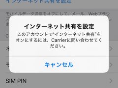 テザリングができなかったのでHuaweiパッドのＳＩＭをＴＥＬＥＮＯＲ店で入手