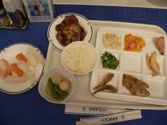 フェリーに乗り込みます。
食事はたしか２０００円程でバイキング。

お寿司やお肉も食べ放題。
