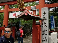 氷室神社に参拝です。境内の池も綺麗。