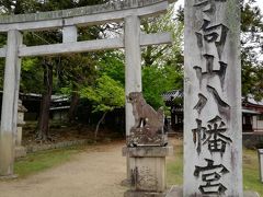 春日大社を出て、奈良公園を抜けて、手向山八幡宮へ。こちらでもお参りです。
