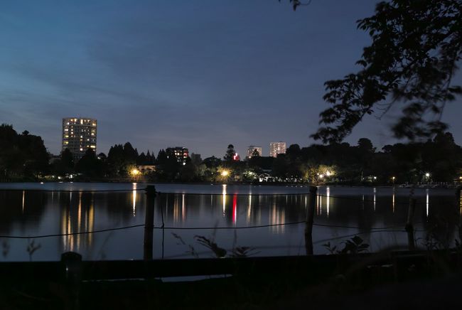 夕暮れの不忍池<br /><br />いろんな模様が映し出される水面。<br /><br />過去、未来そして現在