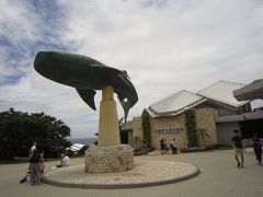 美ら海水族館に移動
おきちゃん劇場は、パスしました。