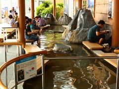 レンタカーを返却し、鹿児島空港へ。
この旅最終、10回目の温泉は空港の足湯。