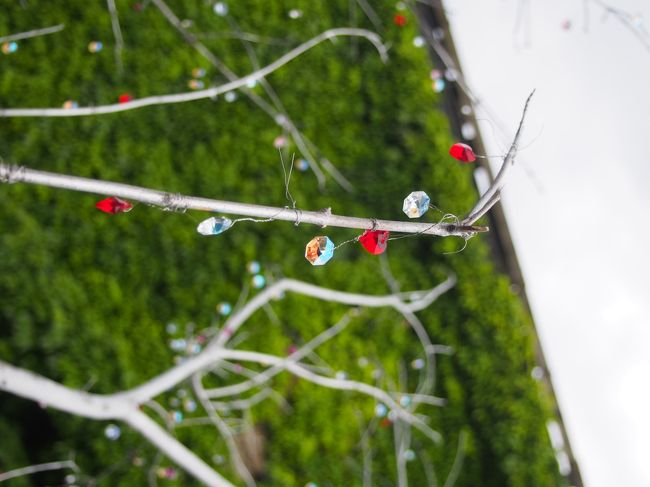 ガラスのお店は装飾がかわいいですね