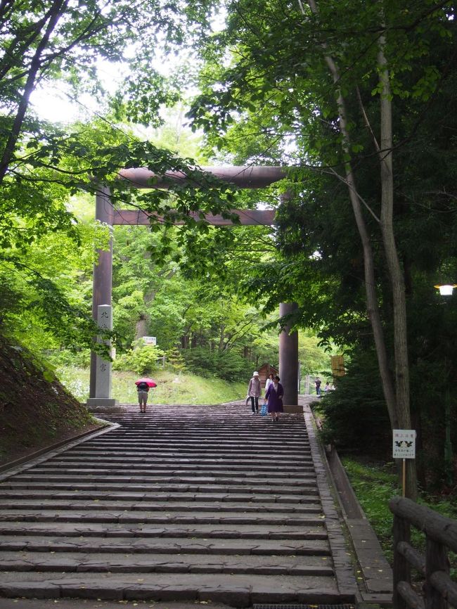 北海道神宮にお参りに行きます。<br />とても広い公園になっていてきもちよかったです。