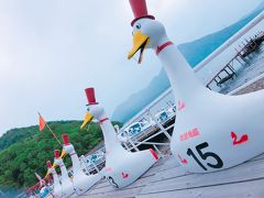 いざ遊覧船へ
以前活躍したであろう
白鳥達がお出迎え