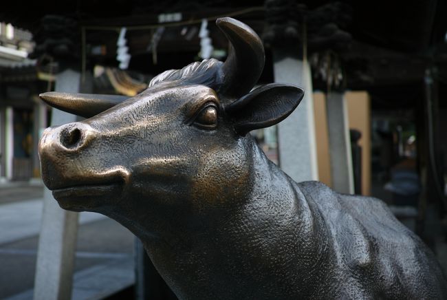 湯島天神の牛さん。<br /><br />頭なでなで。<br /><br />ご利益お願いします～。