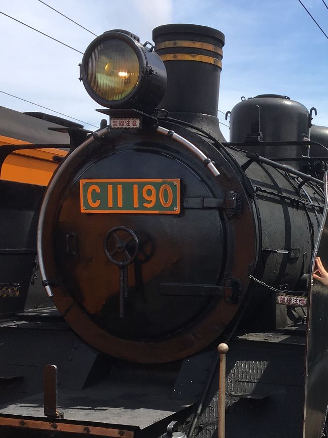 大井川鐵道のSLに乗りました！<br />ススだらけになります！