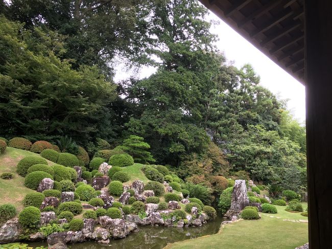 龍潭寺の有名なお庭です。