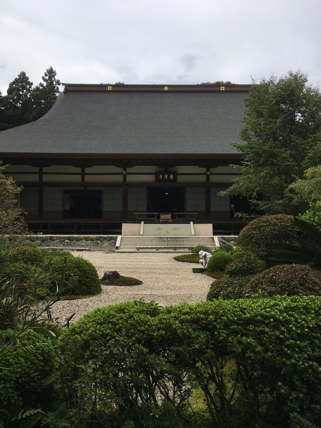 直虎ゆかりの龍潭寺。<br />こちらも沢山おじさまおばさまが。<br />もちろんバリアフリーではないので足腰弱い方は厳しそう、、