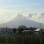 2019.4 つまみ食い東北旅行記⑥…早朝フェリー乗船のため青森宿泊、北海道に帰ったらそこは春だった！