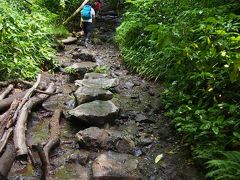 さてさて先を急ぎましょう。

6号路の特徴はこの飛び石。
雨が降ると川になっちゃうので要注意。