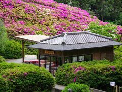 花の茶屋。

4月13日から7月中旬
※つつじ、シャクナゲ、紫陽花庭園のオープン期間中に三室戸寺の境内で唯一、食事できる和風茶店です。
「あじさいパフェ、抹茶パフェ、あじさい氷、茶そば、抹茶白玉ぜんざい、ひやしあめ」等16品。

お陰様で、16:30までの拝観時間ギリギリまで楽しむことができました。
アジサイの頃にも来てみたいなぁ。


ではでは、タクシーを呼んで宇治駅へと。