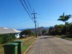 せっかくなのでここにも行きました。

写真があまりうまく撮れませんでしたが下から見上げても登った景色も絶景。
本当に空にまっすぐ伸びる坂道です。

でも住宅地の生活道路なのであまり長居しちゃいけません。

そろそろワイキキに戻ります。
