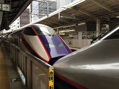 10:00 つばさ133号に乗車。
東京駅は駅弁や土産物屋がたくさんあって楽しい！