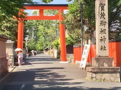 出町柳駅は京阪電車の終点です。
ちょっとくたびれてきたので
少し電車で寝そうになってしまいました。

出町柳駅からは徒歩10分くらいですが
駅から出て高野川を渡るともうすぐに参道に突入です。

14時過ぎた頃に訪れたので1番暑い時間帯でしたが
この参道が青もみじを含む沢山の木々に覆われていて
だいぶ涼しかったので助かりました。

この鳥居は駅からほんの数分で見えてくるものです。
立派な大鳥居が参拝者を出迎えてくれます。
