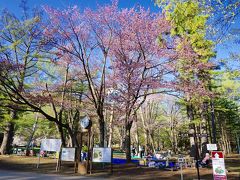 地下鉄の始発で到着すると、
既に札幌市民は場所取りを始めていた・・・