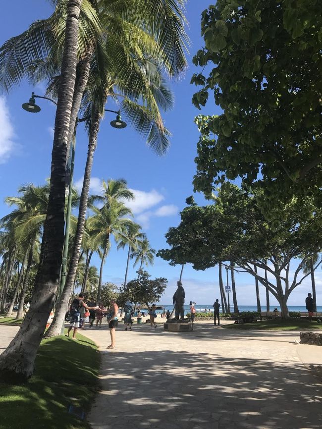 何回見てもいい。<br />ワイキキにきたー！という感じ。