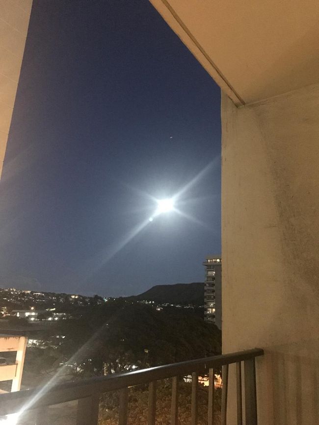 つきが綺麗なのですが<br />上手く撮れず。