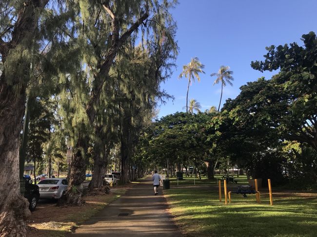 さぁどんどん行こう！<br />雨はすぐに止んだ。<br /><br />土曜日というのもあって<br />朝からパーティーの用意など<br />結構皆さん動いている。<br /><br />ビーチと緑ととっても気持ちがいい。